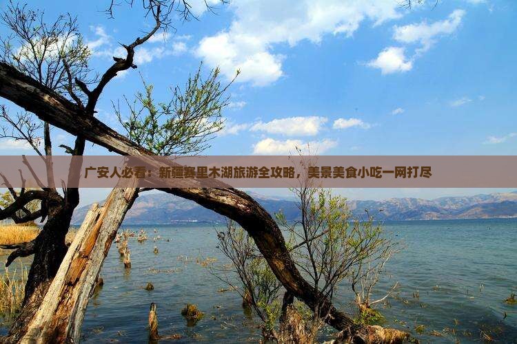 广安人必看：新疆赛里木湖旅游全攻略，美景美食小吃一网打尽
