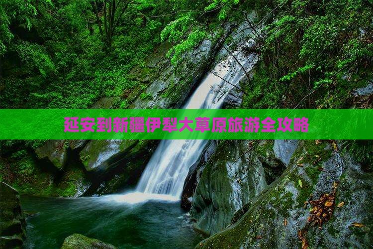 延安到新疆伊犁大草原旅游全攻略