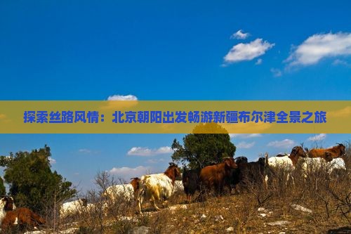 探索丝路风情：北京朝阳出发畅游新疆布尔津全景之旅