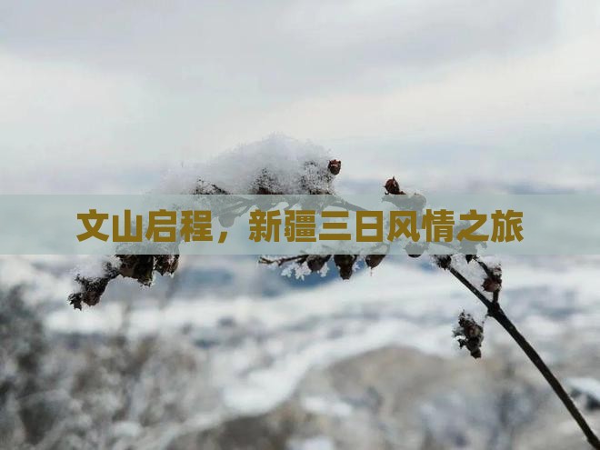 文山启程，新疆三日风情之旅