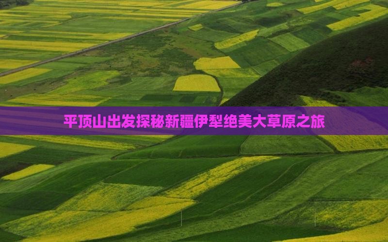 平顶山出发探秘新疆伊犁绝美大草原之旅