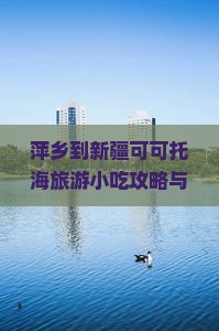 萍乡到新疆可可托海旅游小吃攻略与特色美食推荐