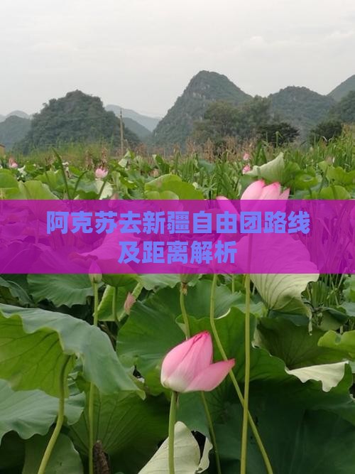 阿克苏去新疆自由团路线及距离解析