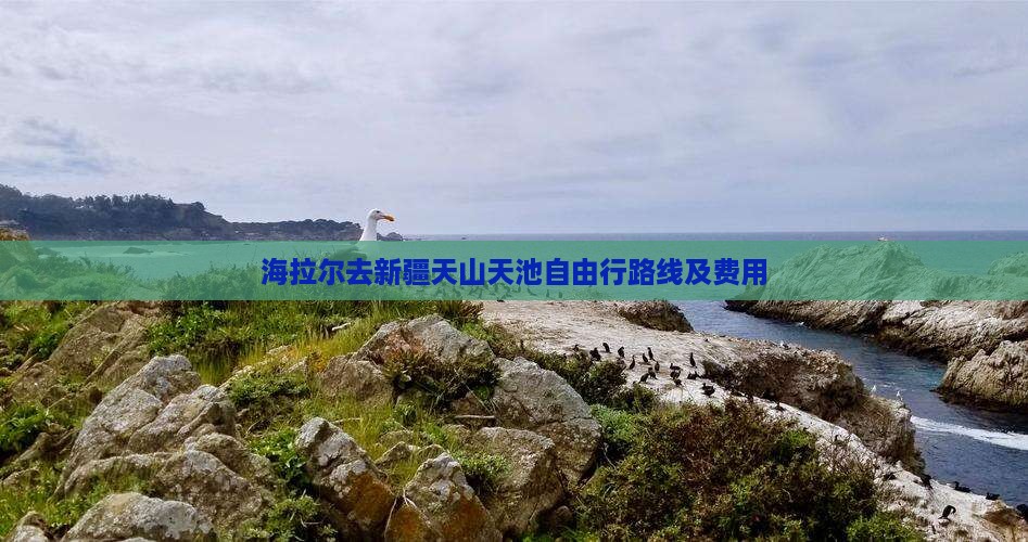 海拉尔去新疆天山天池自由行路线及费用