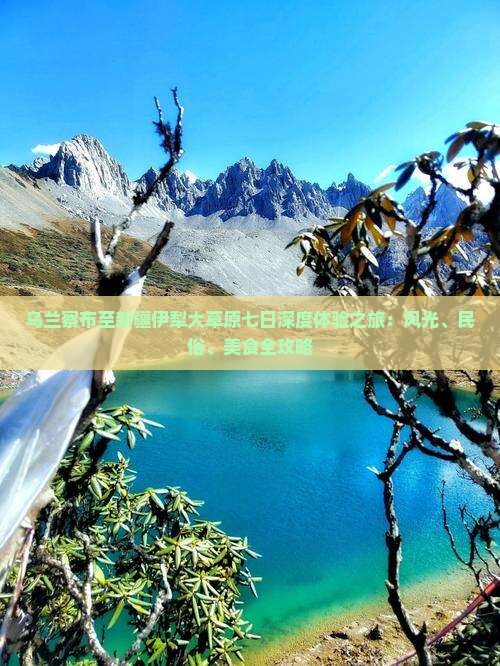 乌兰察布至新疆伊犁大草原七日深度体验之旅：风光、民俗、美食全攻略