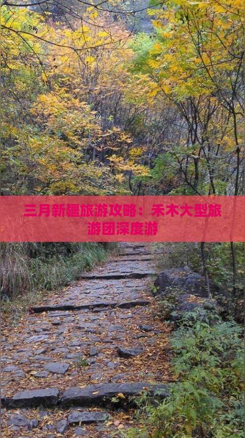 三月新疆旅游攻略：禾木大型旅游团深度游