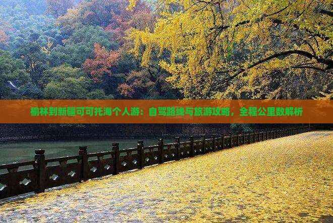 榆林到新疆可可托海个人游：自驾路线与旅游攻略，全程公里数解析