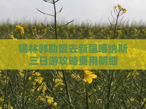 锡林郭勒盟去新疆喀纳斯三日游攻略费用明细