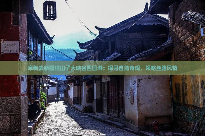 阜新去新疆独山子大峡谷四日游：探寻自然奇观，领略丝路风情