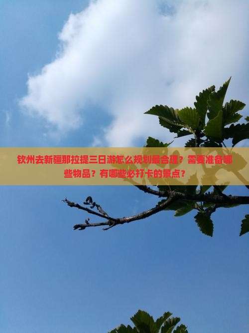 钦州去新疆那拉提三日游