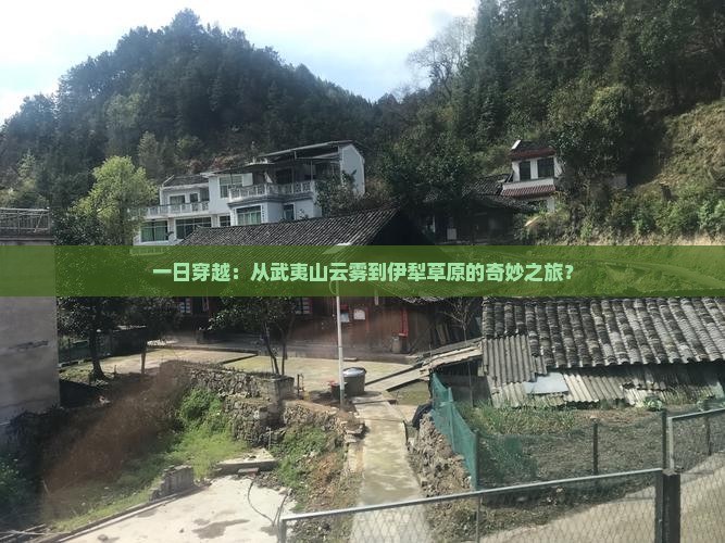 武夷山去新疆伊犁大草原一日