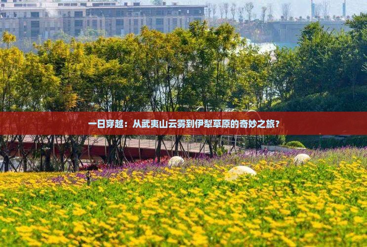 武夷山去新疆伊犁大草原一日