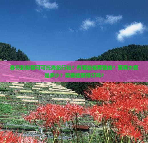 春节到新疆可可托海旅行社