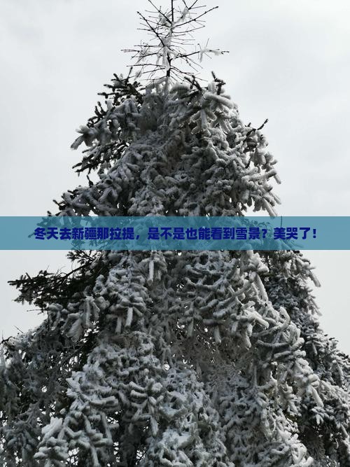 冬天去新疆那拉提景点