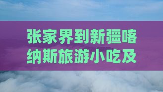 张家界到新疆喀纳斯旅游小吃