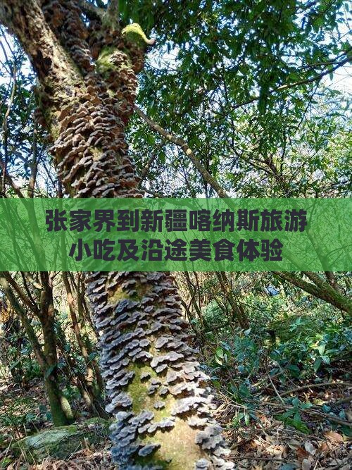 张家界到新疆喀纳斯旅游小吃