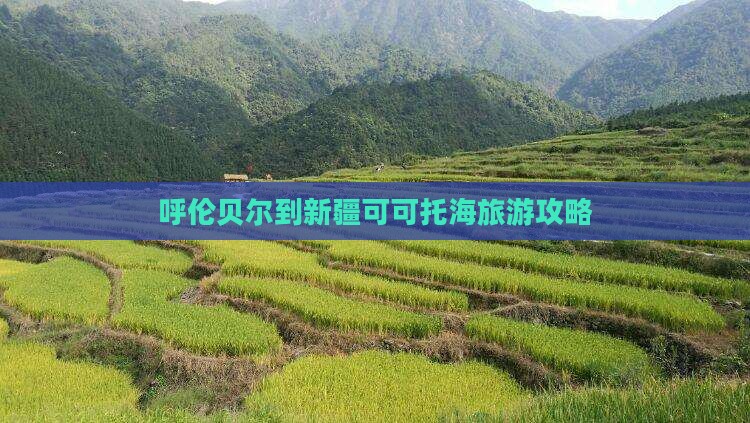 呼伦贝尔去新疆可可托海哪里玩