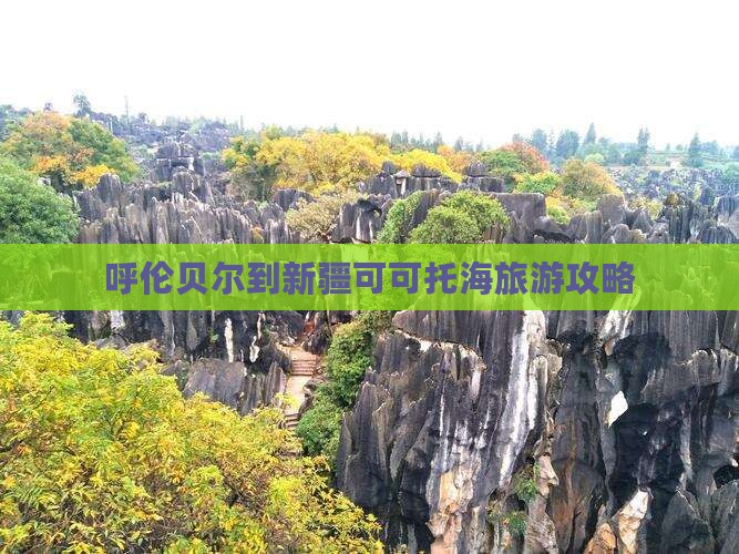 呼伦贝尔去新疆可可托海哪里玩