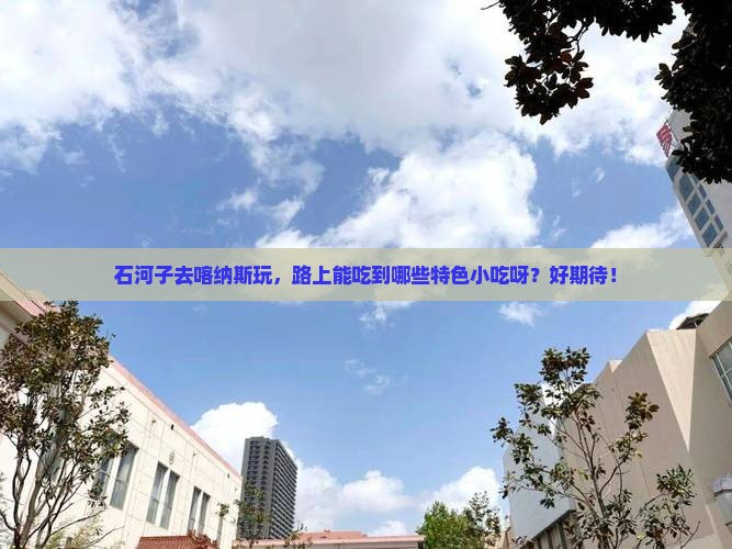 石河子到新疆喀纳斯旅游小吃 石河子到新疆喀纳斯旅游小吃