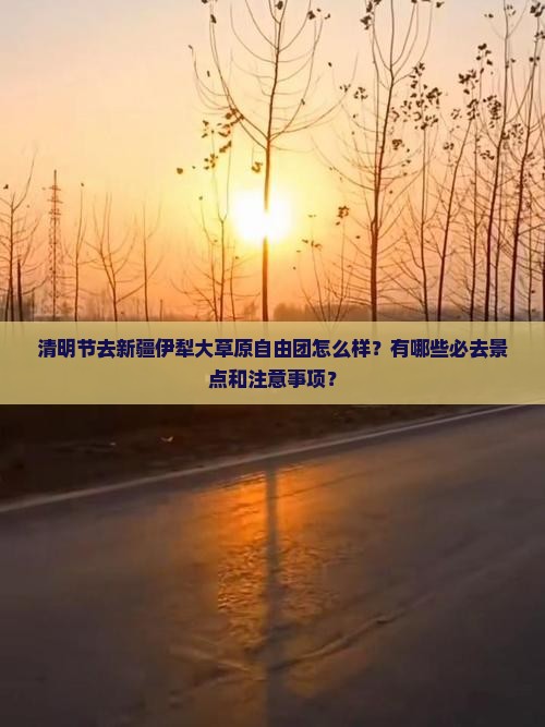 清明节到新疆伊犁大草原自由团