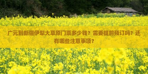 广元到新疆伊犁大草原门票