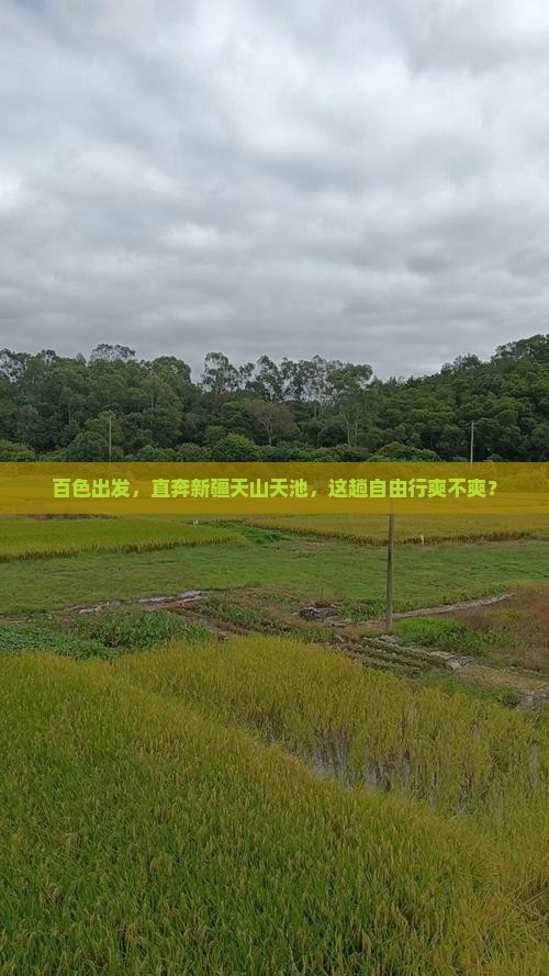 百色到新疆天山天池自由行 百色到新疆天山天池自由行