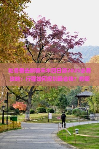 吐鲁番去新疆禾木四日游