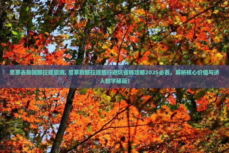 思茅去新疆那拉提旅游