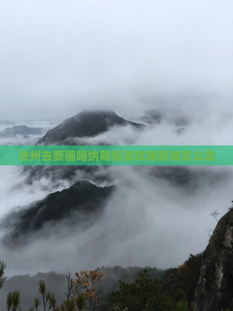 池州去新疆喀纳斯旅游