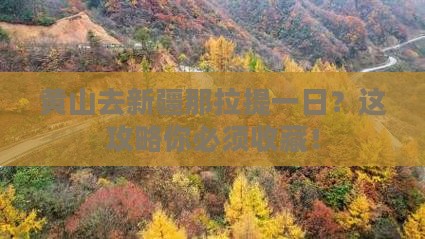 黄山去新疆那拉提一日