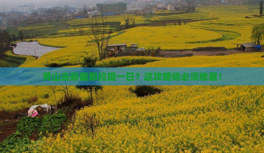 黄山去新疆那拉提一日