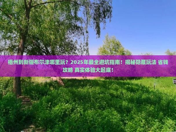 梧州到新疆布尔津哪里玩
