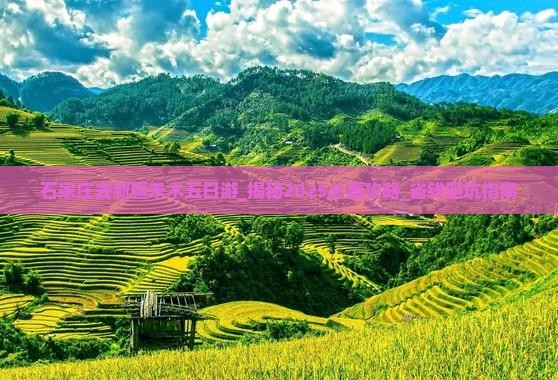 石家庄去新疆禾木五日游