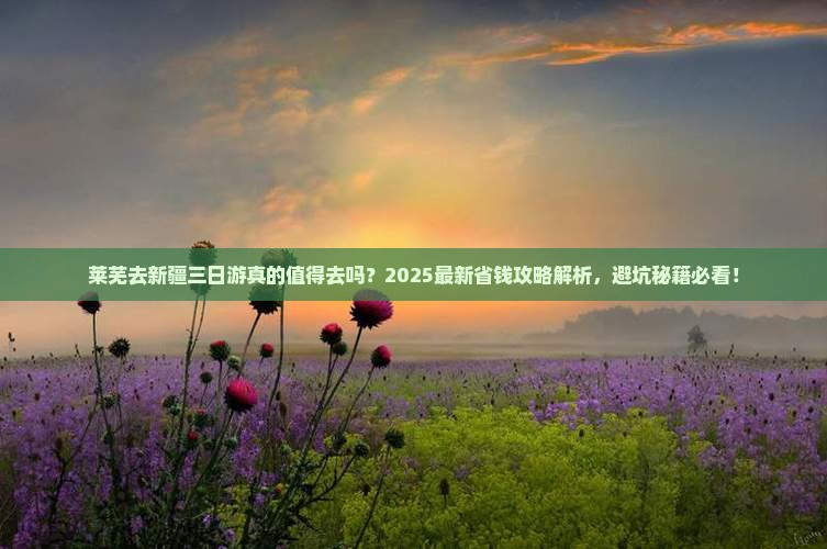 莱芜去新疆三日游