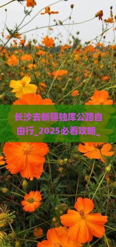 长沙去新疆独库公路自由行