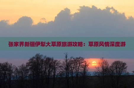 张家界去新疆伊犁大草原攻略