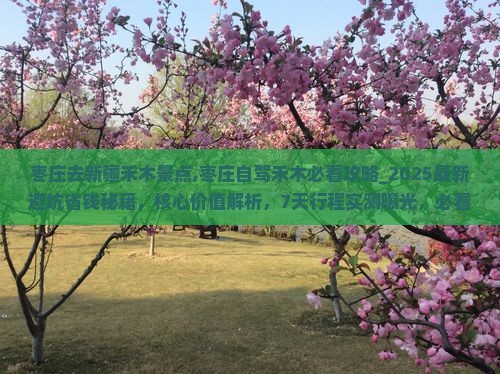 枣庄去新疆禾木景点