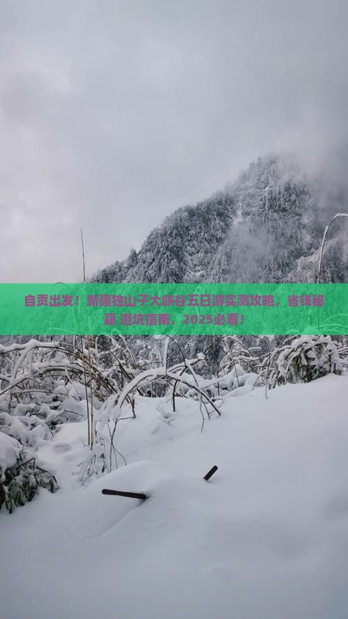 自贡到新疆独山子大峡谷五日游