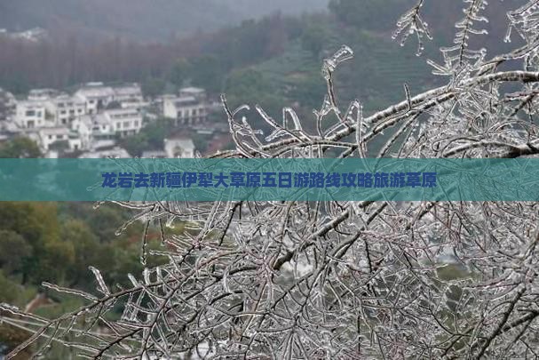 龙岩去新疆伊犁大草原五日游
