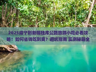 咸宁到新疆独库公路旅游小吃