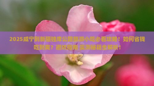 咸宁到新疆独库公路旅游小吃