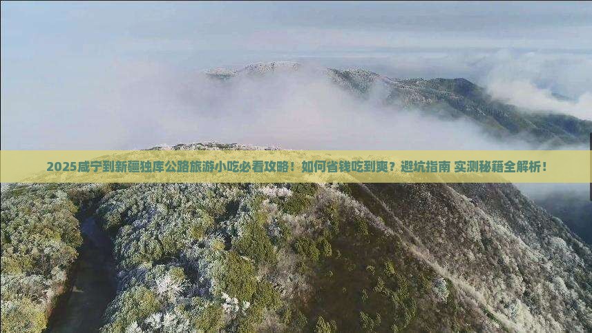 咸宁到新疆独库公路旅游小吃
