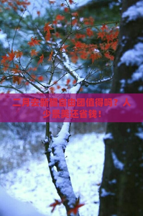 二月去新疆自由团