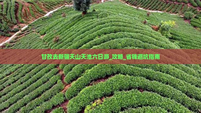 甘孜去新疆天山天池六日游