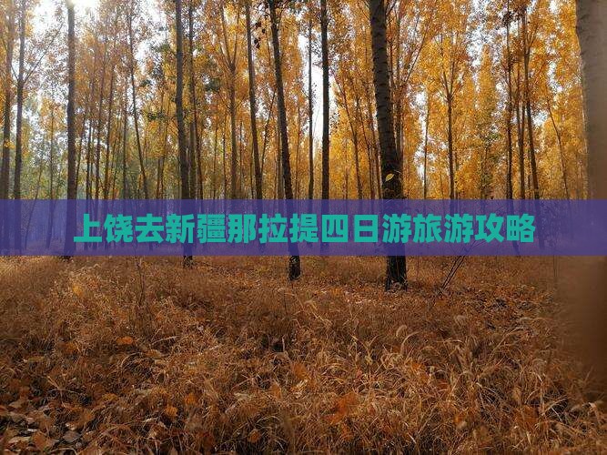 上饶去新疆那拉提四日游