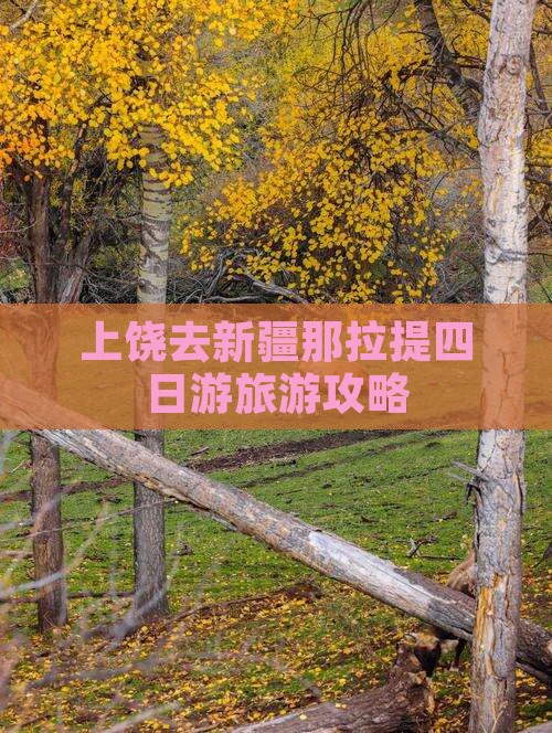 上饶去新疆那拉提四日游