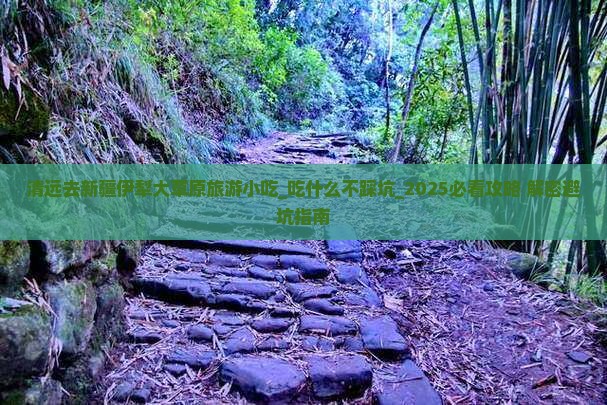 清远去新疆伊犁大草原旅游小吃