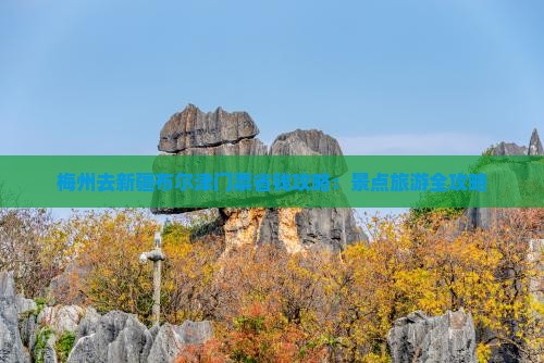 梅州去新疆布尔津门票