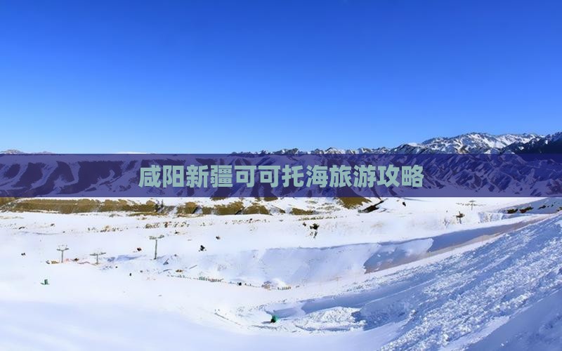 咸阳去新疆可可托海自由团