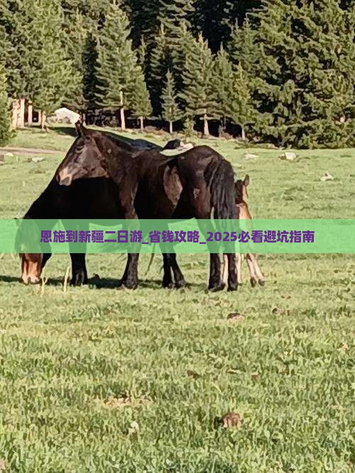 恩施到新疆二日游